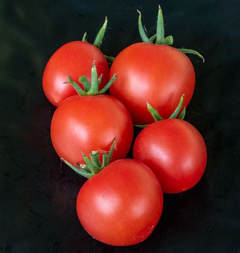Mountian magic tomato seeds